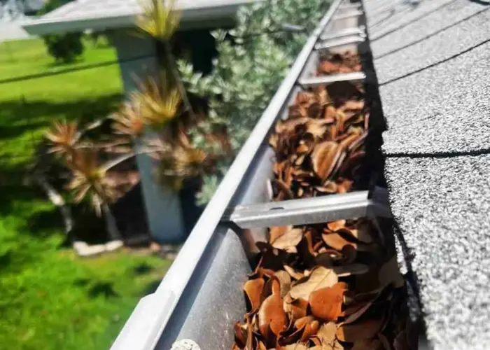 West Ocean View gutter cleaning home page
